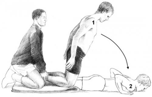 nordic hamstring exercise